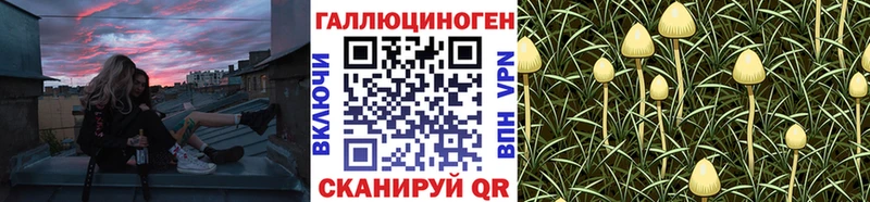 Галлюциногенные грибы MAGIC MUSHROOMS  Купить закладки  Красноуральск 